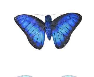 Wild Republic -  Butterflies Blue Morpho Stuffed Animal - 7"  Stuffed Animals