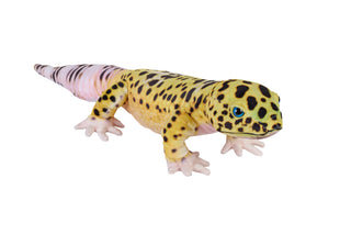 Wild Republic -  Living Earth Leopard Gecko Stuffed Animal - 24"  Stuffed Animals