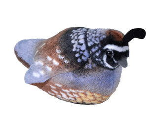 Wild Republic -  Audubon II California Quail Stuffed Animal with Sound - 5"  Stuffed Animals