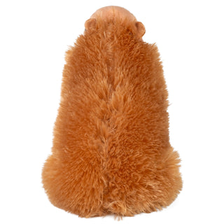   Wild Republic -  Capybara Stuffed Animal - 12"  Stuffed Animals