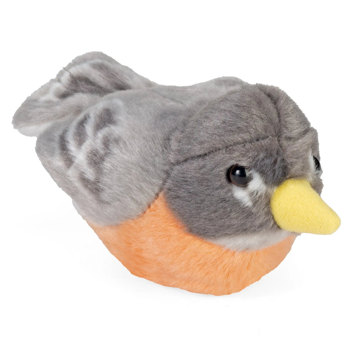 Helder geluid van een ijsvogel