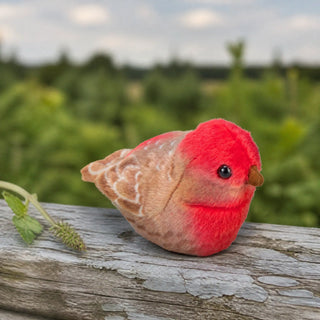 Wild Republic Audubon Birds House Finch Stuffed Animal - 5.5" Stuffed Animals