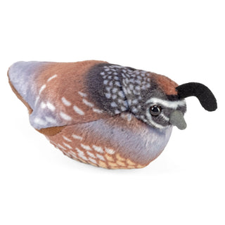   Wild Republic -  Audubon II California Quail Stuffed Animal with Sound - 5"  Stuffed Animals