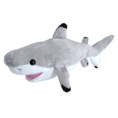 Sea Critters