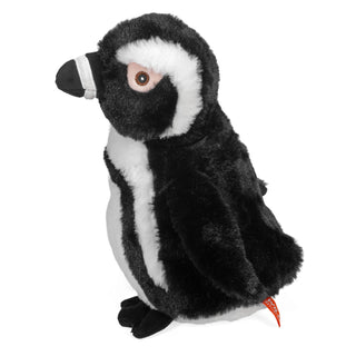   Wild Republic -  Penguin Black Foot Ecokins  Stuffed Animals