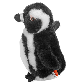   Wild Republic -  Penguin Black Foot Ecokins Mini  Stuffed Animals