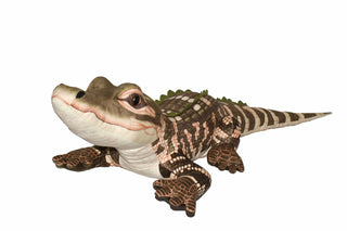 Plush toy alligator on a white background