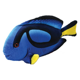 Surgeonfish Stuffed Animal - 6"