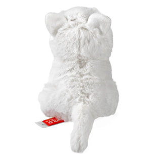   Wild Republic -  Pocketkins Eco Arctic Fox Stuffed Animal - 5"  Stuffed Animals