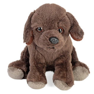   Wild Republic -  Pocketkins Eco Chocolate Labrador Stuffed Animal - 5"  Stuffed Animals