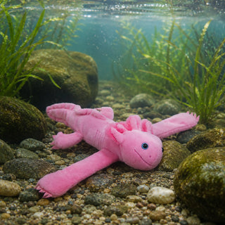 Wild Republic Huggers Axolotl Stuffed Animal - 8" Stuffed Animals