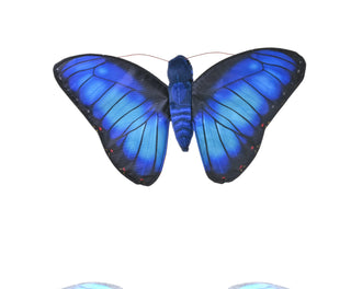 Butterflies Blue Morpho Stuffed Animal - 7"