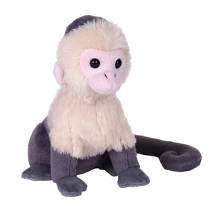 Rainforest Splendors White Faced Capuchin Stuffed Animal - 6"