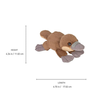 Wild Republic Pocketkins Eco Platypus Stuffed Animal - 5" Stuffed Animals