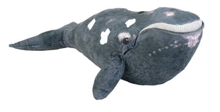 Cuddlekins Eco Northern Right Whale Stuffed Animal - 12"