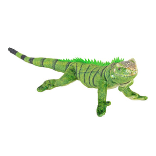 Coilkins Iguana Stuffed Animal - 12"