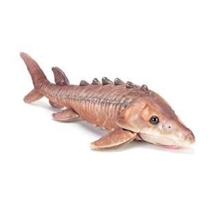 Living Ocean Sturgeon Stuffed Animal - 12"