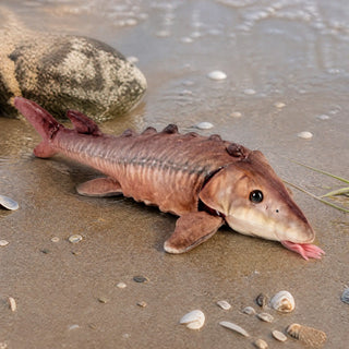 Wild Republic Living Ocean Sturgeon Stuffed Animal - 12" Stuffed Animals