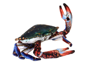 Living Earth Crab Stuffed Animal - 9"