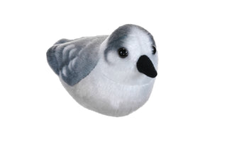 Audubon Birds Canada Jay Stuffed Animal - 5.5"