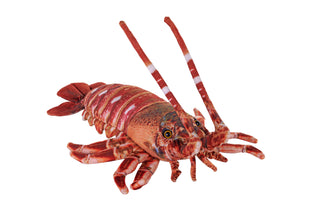 Living Ocean Lobster Stuffed Animal - 16"