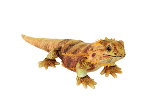 Living Earth Bearded Dragon Stuffed Animal - 24"
