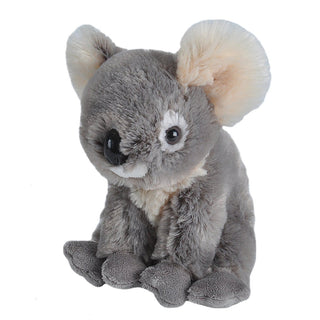 Koala Stuffed Animal - 8"