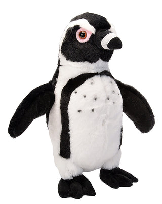 Black Footed Penguin Stuffed Animal - 12"