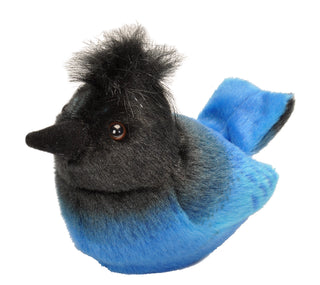 Audubon II Steller's Jay Stuffed Animal with Sound - 5"