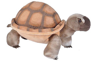 Desert TortiseStuffed Animal - 12"