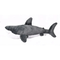 Sharks