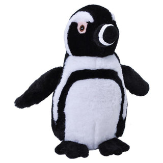 Penguin Black Foot Ecokins