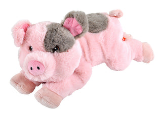 Pig Ecokins