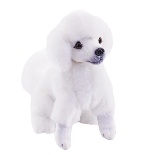 Rescue Dog - Poodle