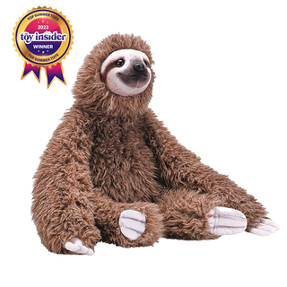 Artist Collection - Sloth