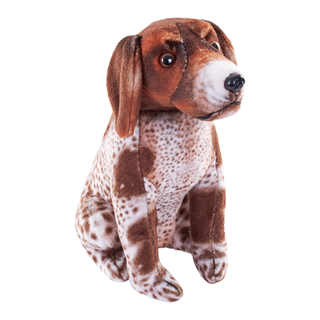 Rescue Dog - German Pointer
