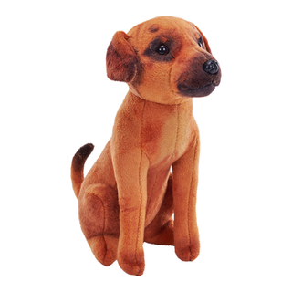 Rescue Dog - Mutt