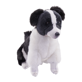 Rescue Dog - Border Collie