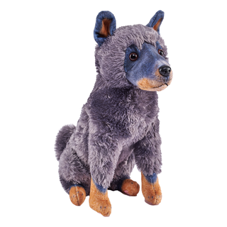 Rescue Dog - Cattle Dog